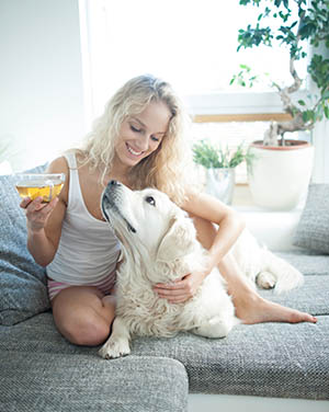 Reasons to adopt a dog